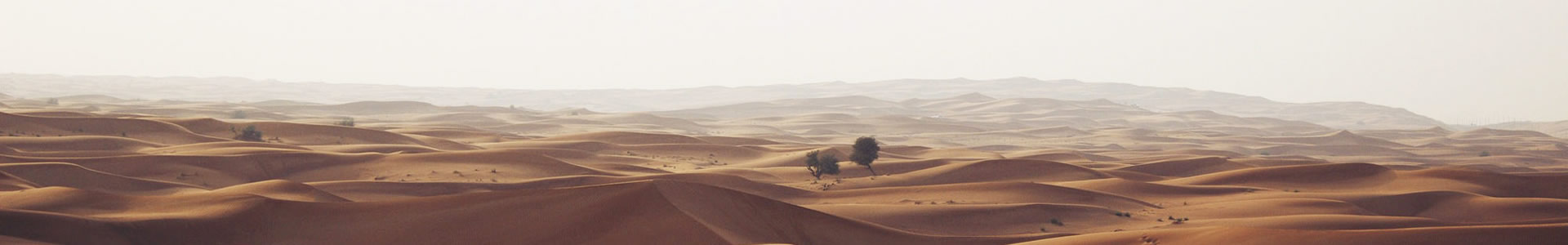 ɽؿ